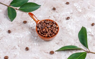 Caffè biologico ed equosolidale